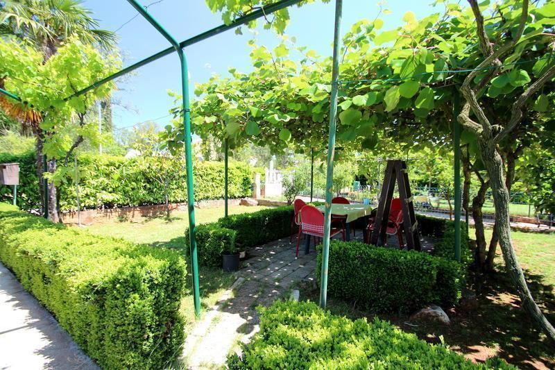 The Green House - 20M From The Beach Novigrad (Istria) Quarto foto